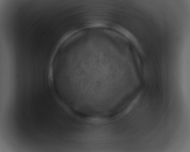 X0000100901234200807081055