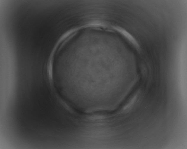 X0000100901238200807081055