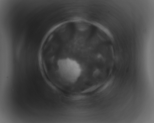 X0000100901239200807081055