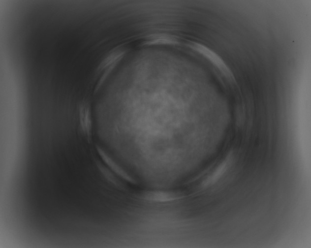 X0000100901241200807081055