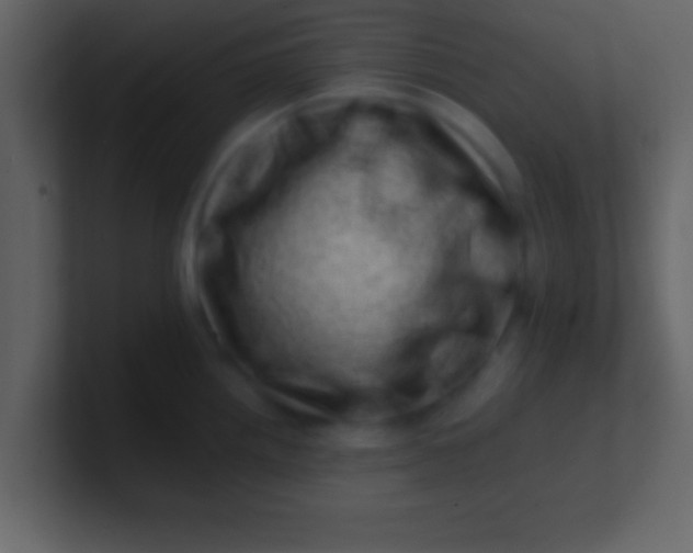 X0000100901242200807081055