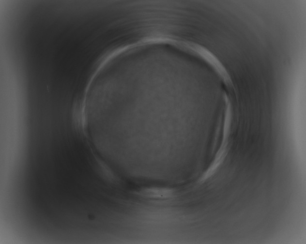 X0000100901244200807081055