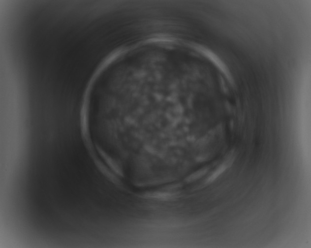 X0000100901245200807081055