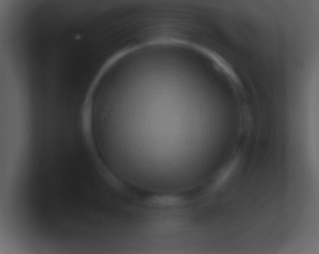 X0000100901246200807081055