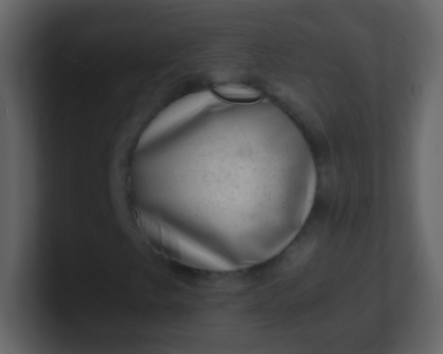 X0000100901249200807081055