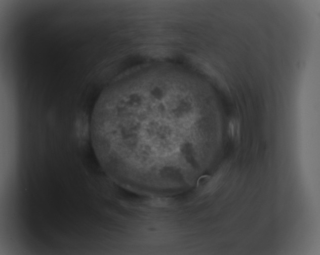 X0000100901251200807081055