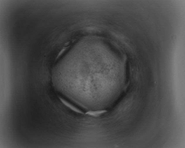 X0000100901253200807081055