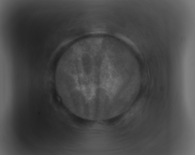 X0000100901255200807081055