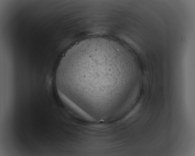 X0000100901257200807081055