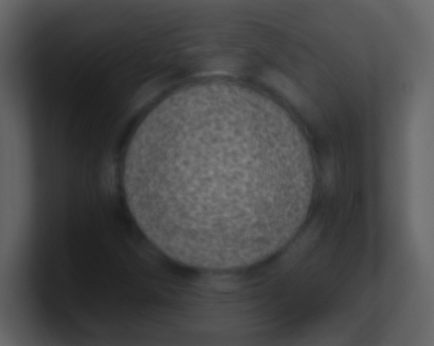 X0000100901258200807081055