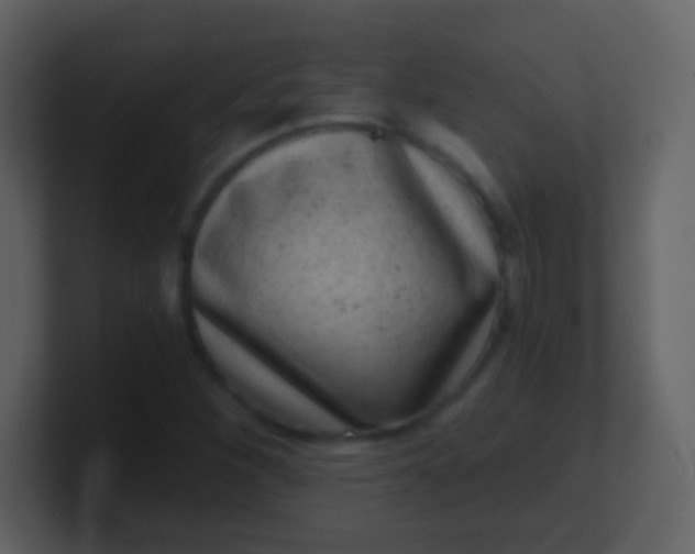 X0000100901260200807081055