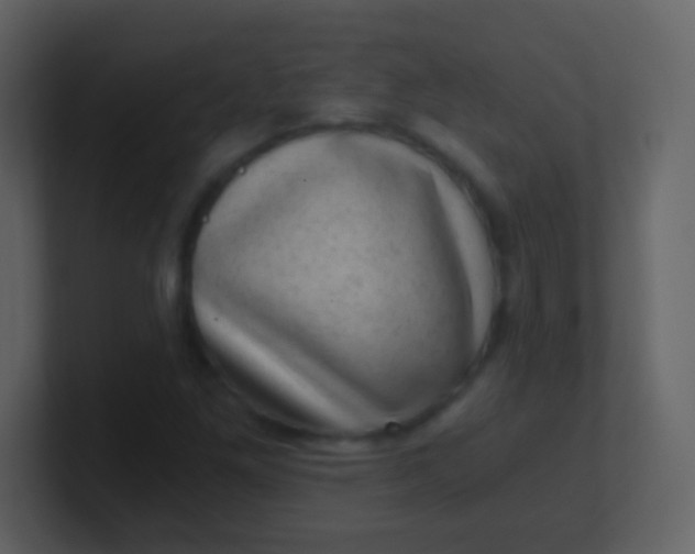 X0000100901261200807081055