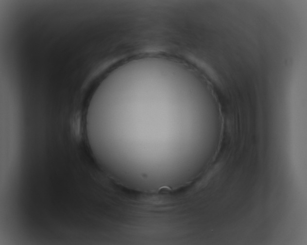 X0000100901262200807081055