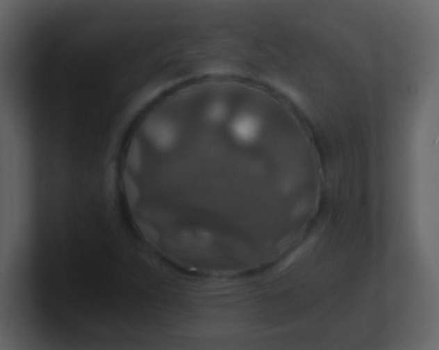 X0000100901263200807081055