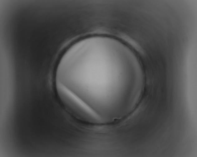 X0000100901264200807081055