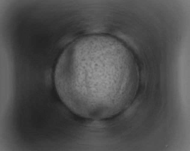 X0000100901265200807081055