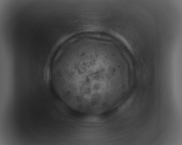 X0000100901267200807081055