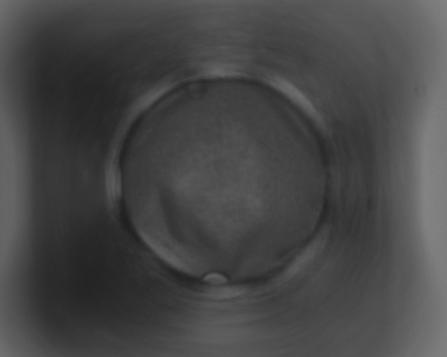 X0000100901269200807081055