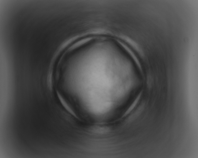 X0000100901270200807081055