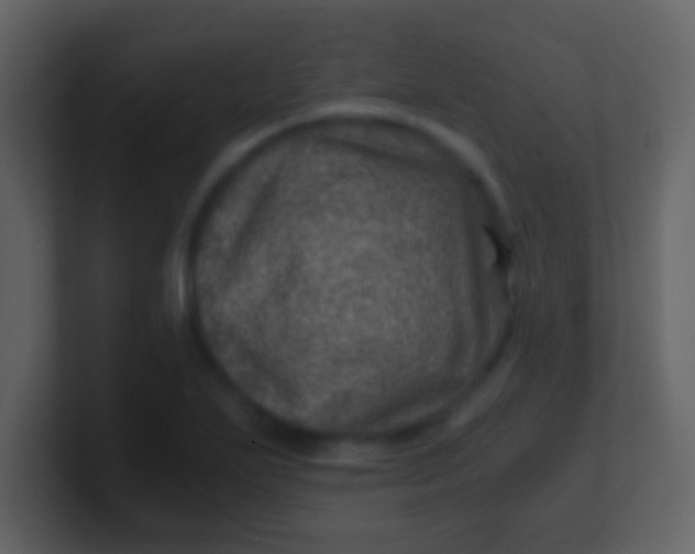 X0000100901271200807081055