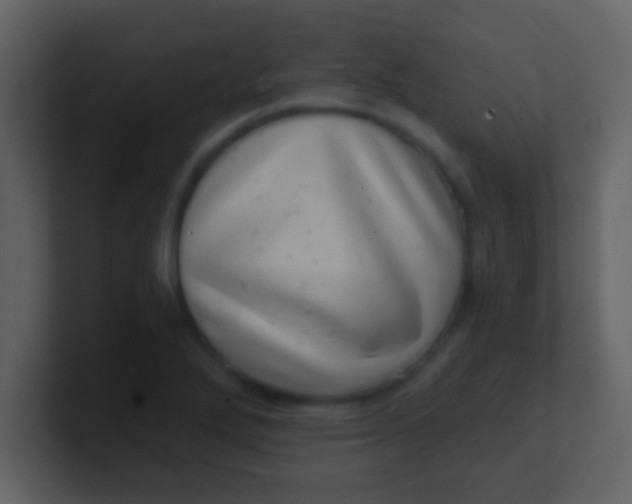 X0000100901272200807081055