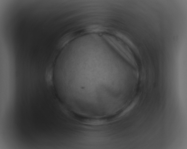 X0000100901273200807081055