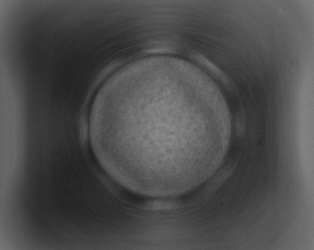 X0000100901274200807081055