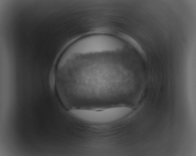 X0000100901276200807081054