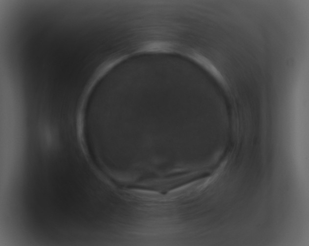 X0000100901277200807081054