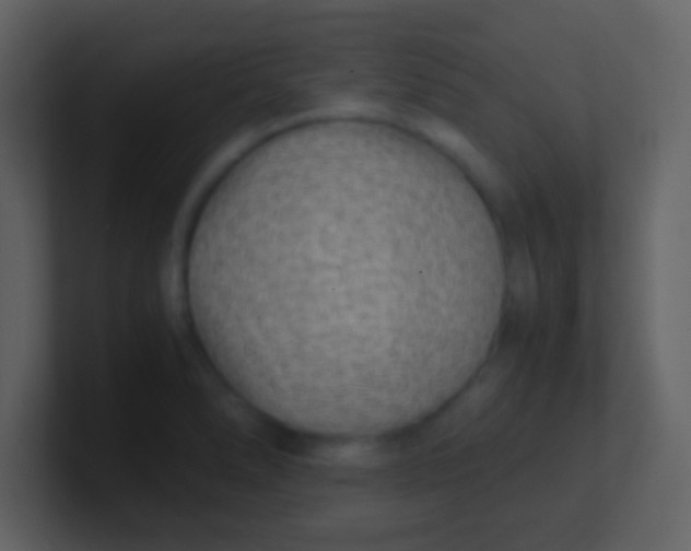 X0000100901278200807081054