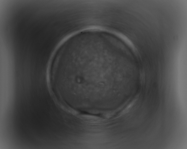 X0000100901279200807081054