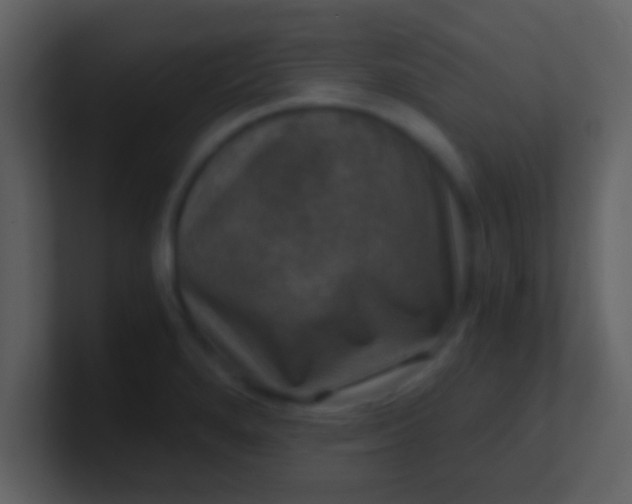 X0000100901280200807081054