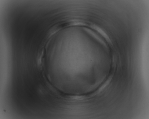 X0000100901281200807081054