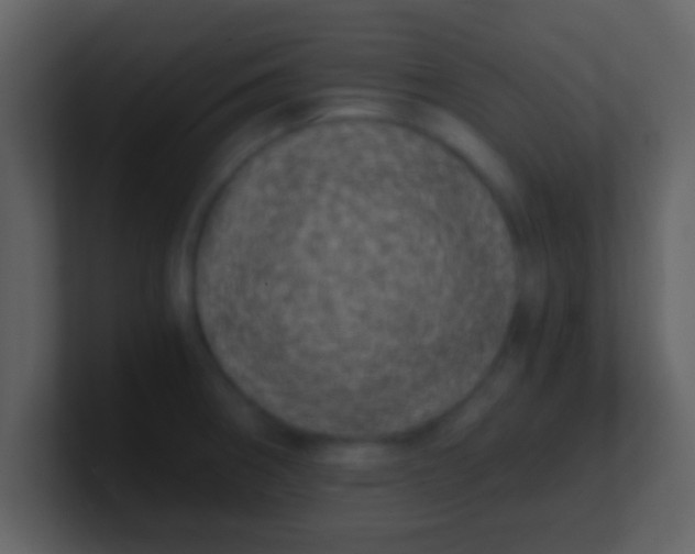 X0000100901282200807081054