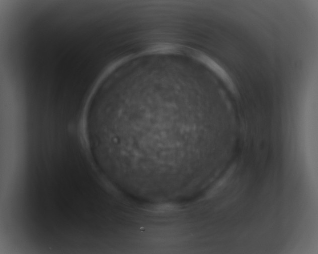 X0000100901283200807081054