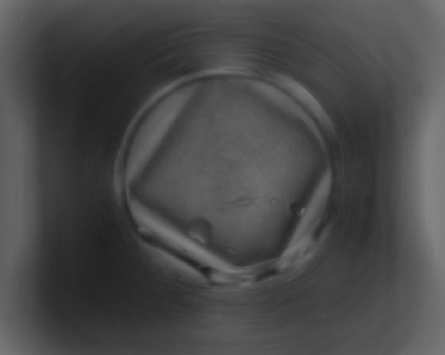 X0000100901284200807081054