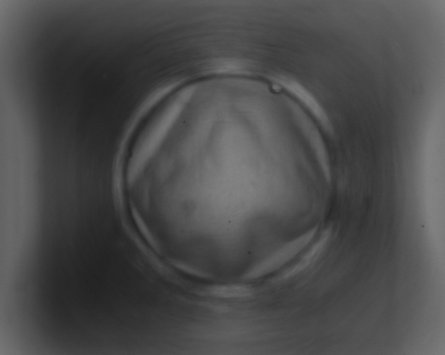 X0000100901285200807081054