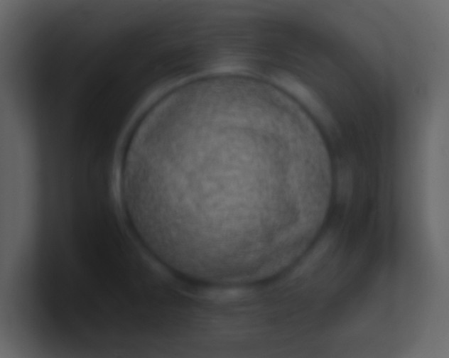 X0000100901286200807081054