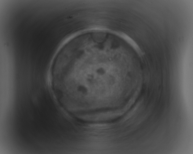 X0000100901287200807081054