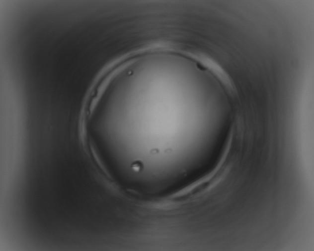 X0000100901288200807081054