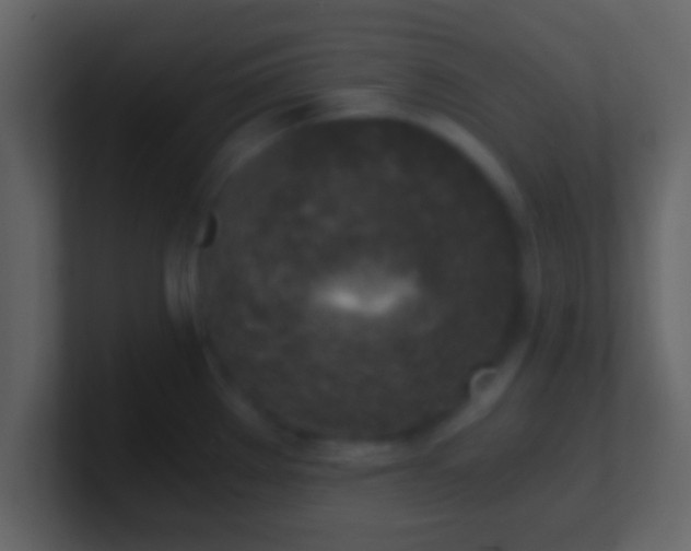 X0000100901289200807081054