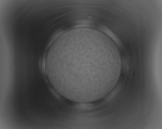 X0000100901290200807081054