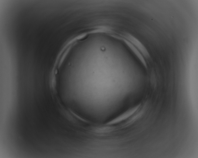 X0000100901292200807081054