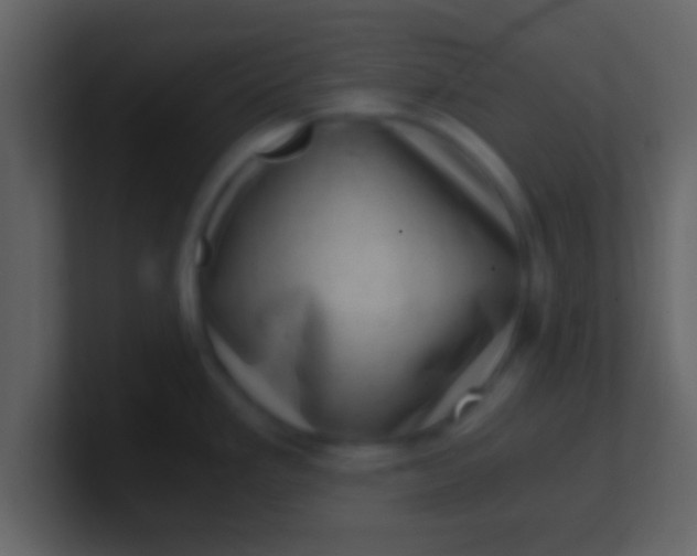 X0000100901293200807081054