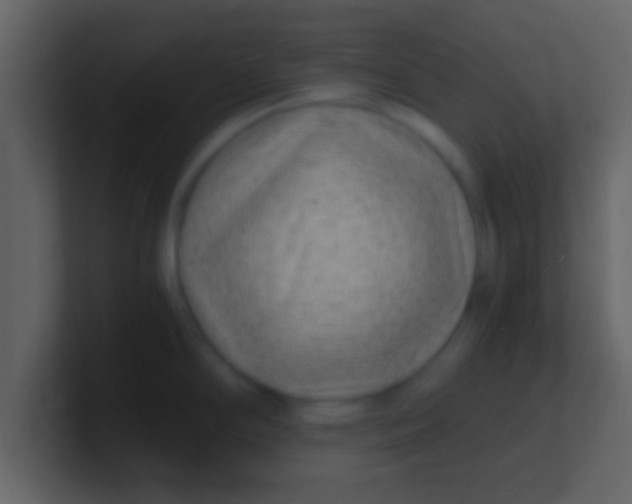 X0000100901294200807081054