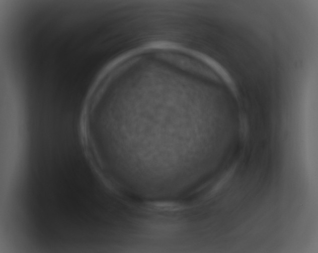 X0000100901295200807081054