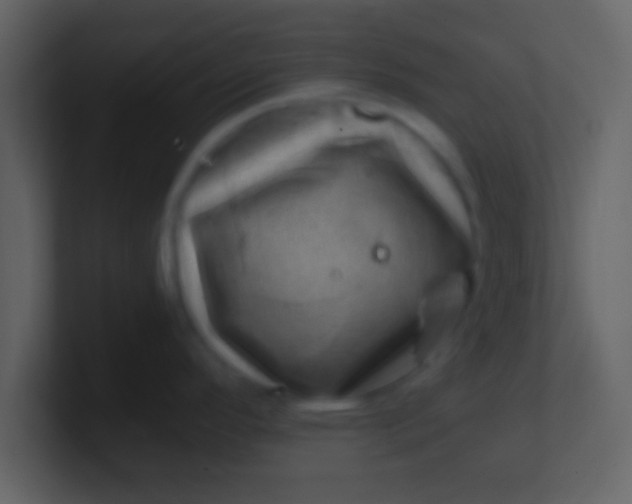 X0000100901296200807081054