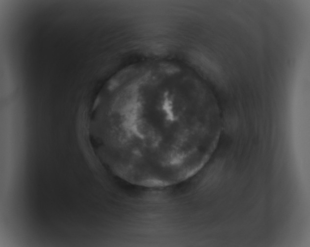 X0000100901297200807081054