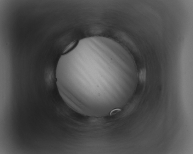 X0000100901299200807081054