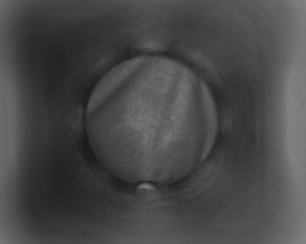 X0000100901301200807081054